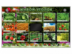 Комплект оборудования "Живой уголок" (растения) - fgospostavki.ru - Владимир