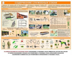 Комплект плакатов "Кинология" - fgospostavki.ru - Владимир
