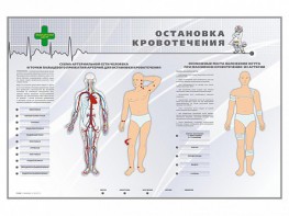 Электрифицированный стенд "Остановка кровотечения" - fgospostavki.ru - Владимир