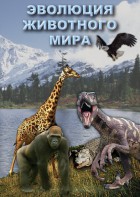 DVD "Эволюция животного мира" - fgospostavki.ru - Владимир