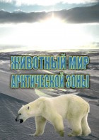 DVD "Животный мир Арктической зоны" - fgospostavki.ru - Владимир