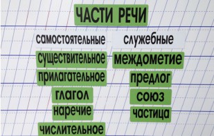 Набор магнитных карточек "Части речи" (фон зелёный) - fgospostavki.ru - Владимир