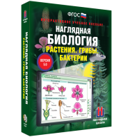 Наглядная биология. 6 класс. Растения. Грибы. Бактерии - fgospostavki.ru - Владимир