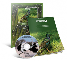 Электронное наглядное пособие «Птицы» - fgospostavki.ru - Владимир