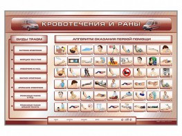 Трехсекционный базовый комплект "Травмы. Кровотечения. Ожоги" для учащихся общеобразовательных учреждений - fgospostavki.ru - Владимир