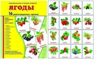 Демонстрационные карточки "Ягоды" - fgospostavki.ru - Владимир