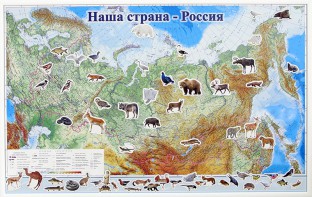 Магнитные карточки "Животные" - fgospostavki.ru - Владимир