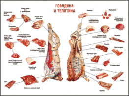 Таблица "Правила разделки мясных туш. Говядина и телятина" (100х140 сантиметров, винил) - fgospostavki.ru - Владимир