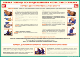 Таблица "Порядок действий при внезапной смерти" (100х140 сантиметров, винил) - fgospostavki.ru - Владимир