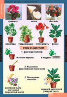 Комплект таблиц. Окружающий мир 1 класс. - fgospostavki.ru - Владимир