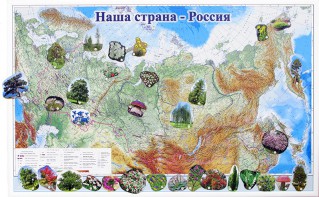 Магнитные карточки "Растения" - fgospostavki.ru - Владимир