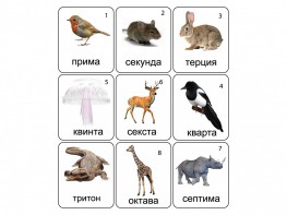Набор магнитных карточек по музыке "Животные" (9 штук) - fgospostavki.ru - Владимир