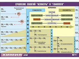 Таблица демонстрационная "Сравнение понятий изомер и гомолог" (винил 70x100) - fgospostavki.ru - Владимир