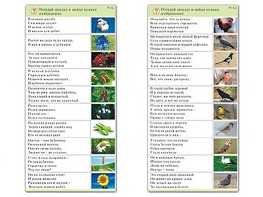 Комплект карточек (10) "Обучающий калейдоскоп. Природа" - fgospostavki.ru - Владимир