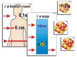Модель-аппликация "Явление радиоактивности" (ламинированная) - fgospostavki.ru - Владимир
