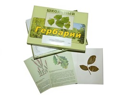 Гербарий "Дикорастущие растения" (30 видов, с иллюстрациями) - fgospostavki.ru - Владимир