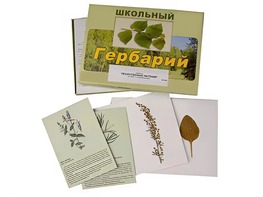 Гербарий "Лекарственные растения" (22 вида с иллюстрациями) - fgospostavki.ru - Владимир