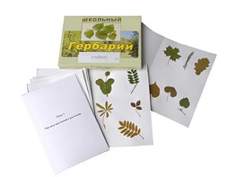Гербарий "Морфология растений" (6 тем, 30 видов) - fgospostavki.ru - Владимир