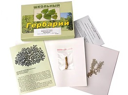 Гербарий "Водоросли. Грибы. Лишайники" (раздаточный) - fgospostavki.ru - Владимир