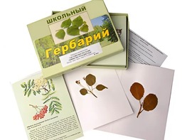 Гербарий "Систематика растений. Семейство Розоцветные" (раздаточный) - fgospostavki.ru - Владимир