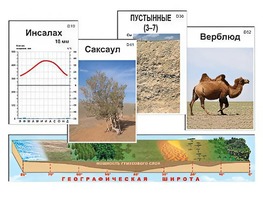 Модель-аппликация "Природные зоны" - fgospostavki.ru - Владимир
