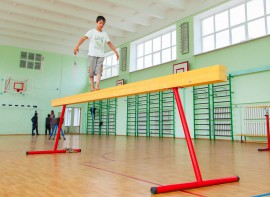 Бревно гимнастическое напольное постоянной высоты (700 мм) (5 м) - fgospostavki.ru - Владимир