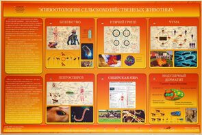 Электрифицированный стенд «Эпизоотология сельскохозяйственных животных» - fgospostavki.ru - Владимир