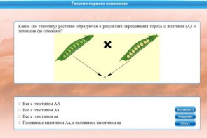 Интерактивные курсы. Биология 11 класс. Базовый. - fgospostavki.ru - Владимир