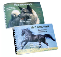 Пособие для слабовидящих - Домашние животные - fgospostavki.ru - Владимир