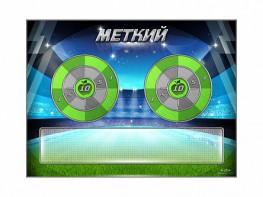 Электрифицированный координационно-развивающий спортивный комплекс "Меткий" - fgospostavki.ru - Владимир