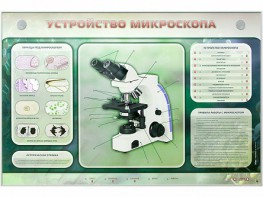 Электрифицированный стенд "Устройство микроскопа и правила работы c ним" - fgospostavki.ru - Владимир
