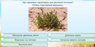 Интерактивные курсы. Окружающий мир 3 класс . Базовый. - fgospostavki.ru - Владимир