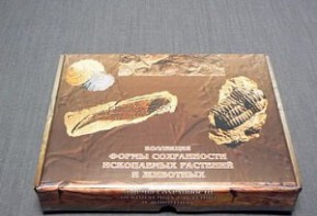 Коллекция "Формы сохранности ископаемых растений и животных" - fgospostavki.ru - Владимир