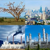 Модель-аппликация Биосфера и человек - fgospostavki.ru - Владимир