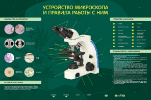 Электрифицированный стенд "Устройство микроскопа и правила работы c ним" - fgospostavki.ru - Владимир