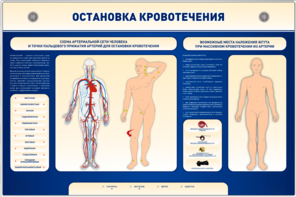 Электрифицированный стенд-тренажер "Остановка кровотечения" - fgospostavki.ru - Владимир