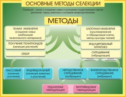 Стенд "Методы селекции и биотехнологии" - fgospostavki.ru - Владимир