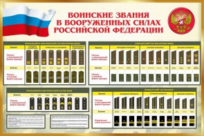 Стенд "Воинские звания в вооруженных силах РФ" - fgospostavki.ru - Владимир