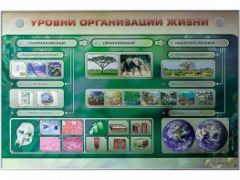 Электрифицированный стенд "Уровни организации жизни" - fgospostavki.ru - Владимир