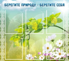 Стенд "Берегите природу - берегите себя" - fgospostavki.ru - Владимир