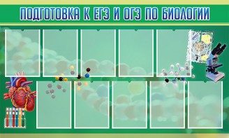 Стенд "Подготовка к ЕГЭ и ОГЭ по биологии" Вариант 2 - fgospostavki.ru - Владимир