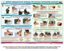 Комплект плакатов "Оказание первой доврачебной медицинской помощи" - fgospostavki.ru - Владимир