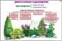 Комплект кодотранспарантов "Культурные растения" - fgospostavki.ru - Владимир
