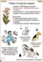 Комплект кодотранспарантов "Ядовитые растения" - fgospostavki.ru - Владимир