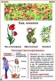 Комплект кодотранспарантов "Ядовитые растения" - fgospostavki.ru - Владимир
